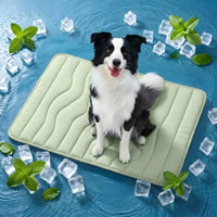 Square-Green