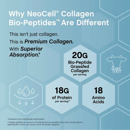 Collagen Bio-Peptides Powder – 20g Per Serving for Your Daily Routine
