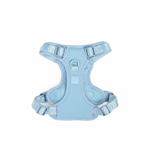 The Ultimate Breathable & Easy-Fit Dog Harness