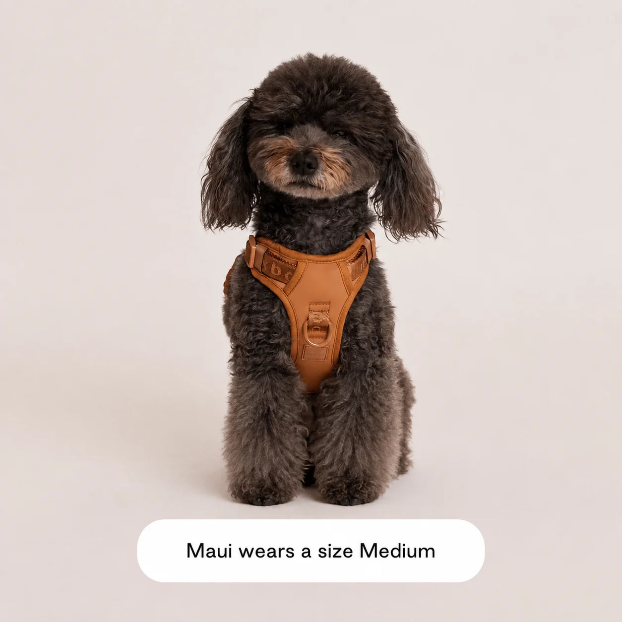The Ultimate Breathable & Easy-Fit Dog Harness